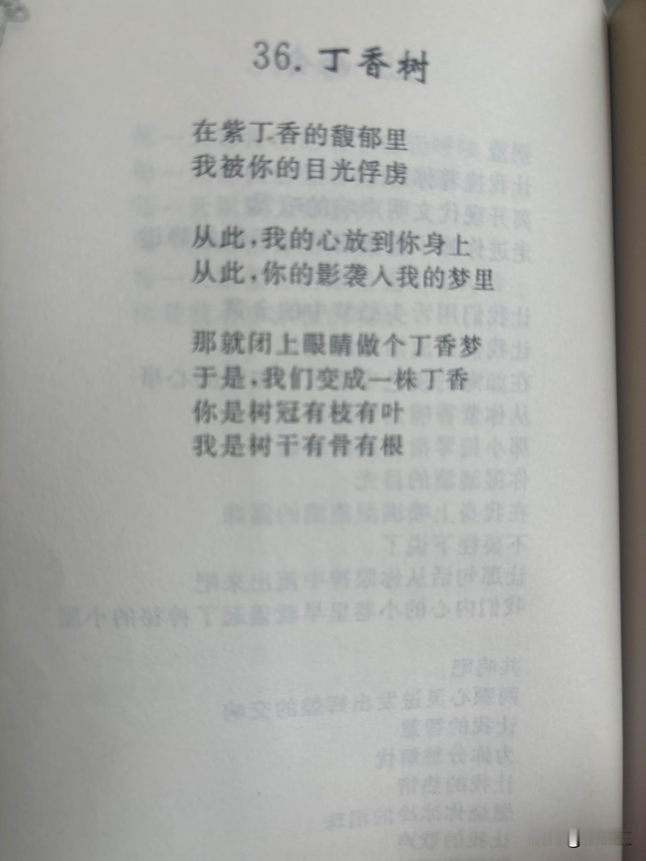 36. 丁香树
刘长玉

在紫丁香的馥郁里
我被你的目光俘虏

从此，我的心放到