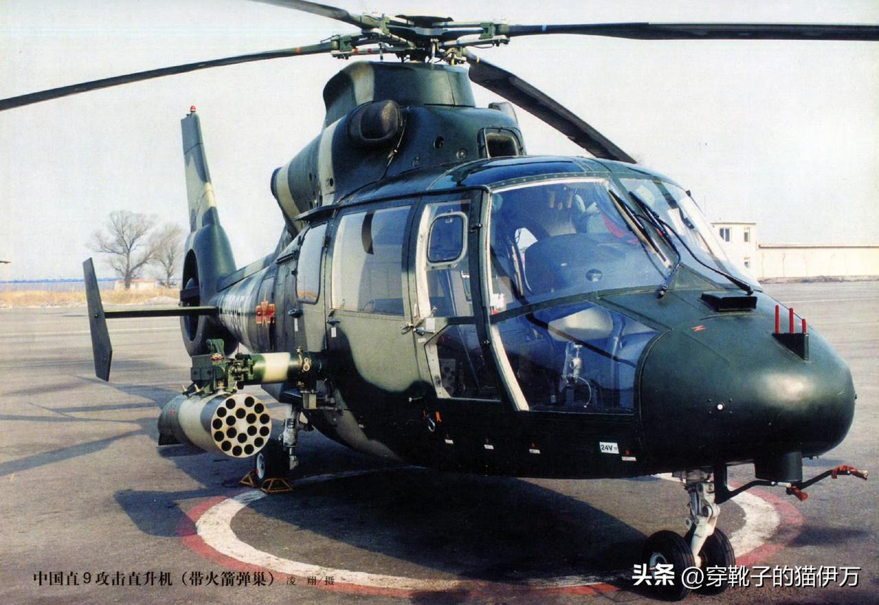 图1是早期型直九武装直升机，大家注意其武器挂梁是直线型。这种设计其实贯穿机体，占