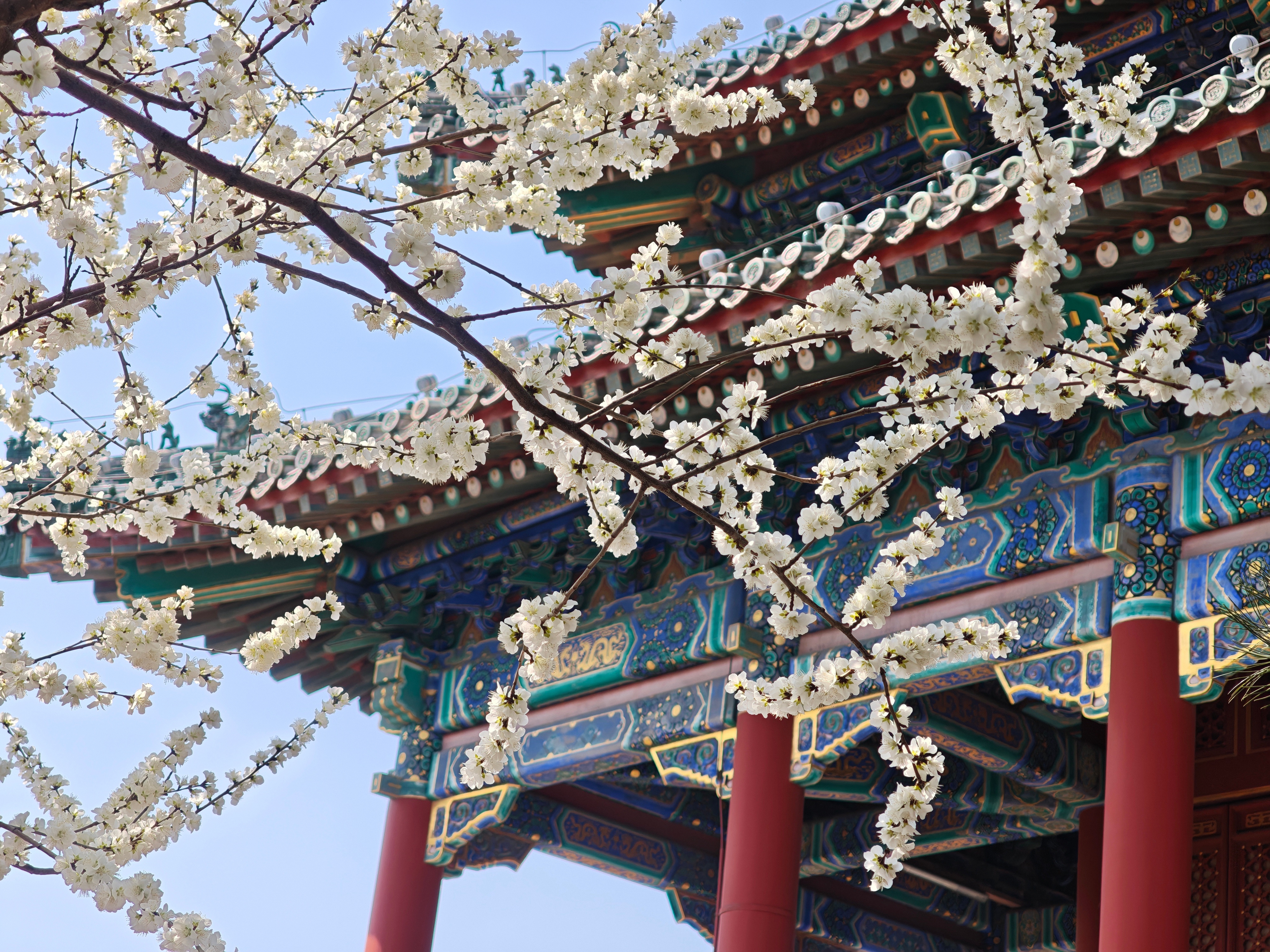 早啊兄弟们！距离五一假期还有13天今天起晚了