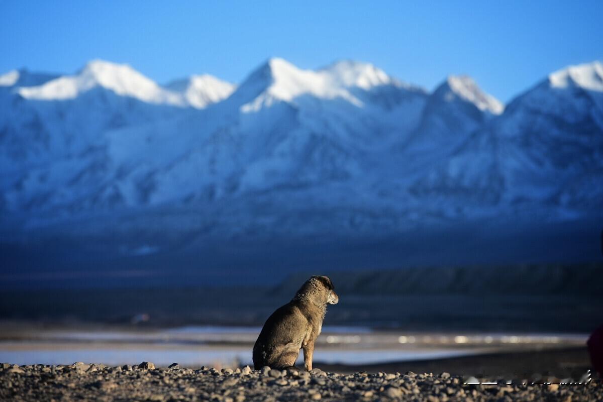 2021年前往南疆，木吉火山拍摄#冲破想象——2021尼康主题摄影大赛##神奇的