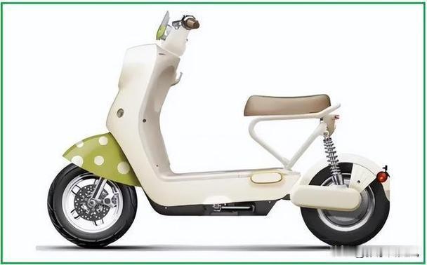 新国标电动车出炉了，也是经过几次改良敲定的。这样的电动车真的实用吗？

首先电动