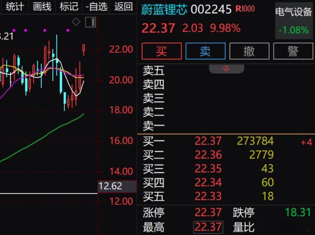 好标不怕，调整一下继续走强，蔚蓝锂芯 