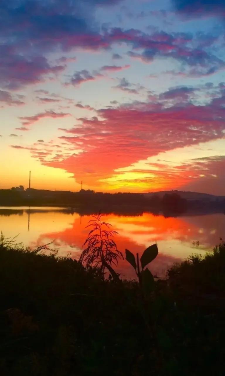 △体验浅秋有感△
☔️🌸🍃🍎
晨练游湖迎朝霞，
道旁月季开红花。
喜望辽阔