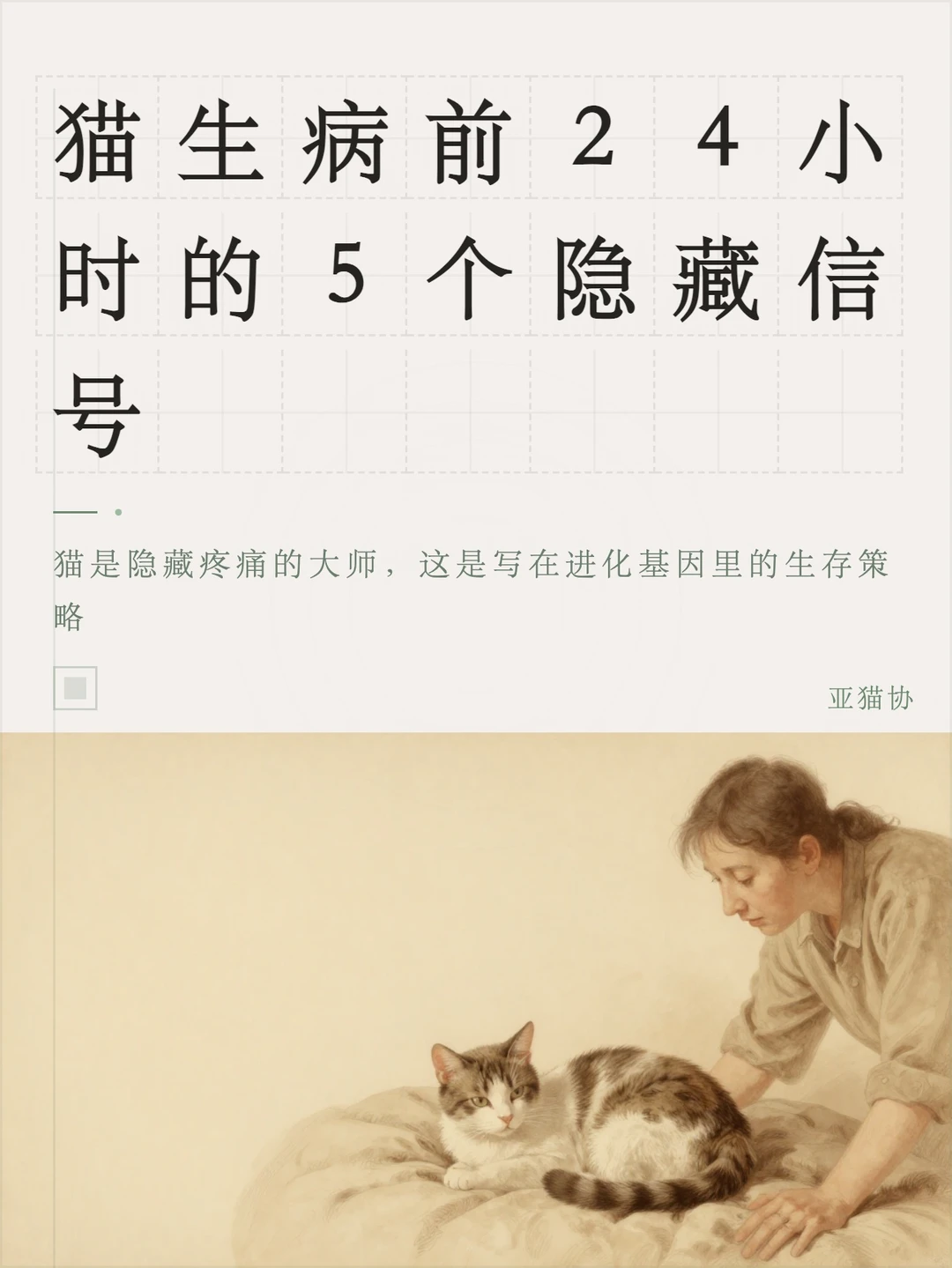 猫生病前24小时的5个隐藏信号
