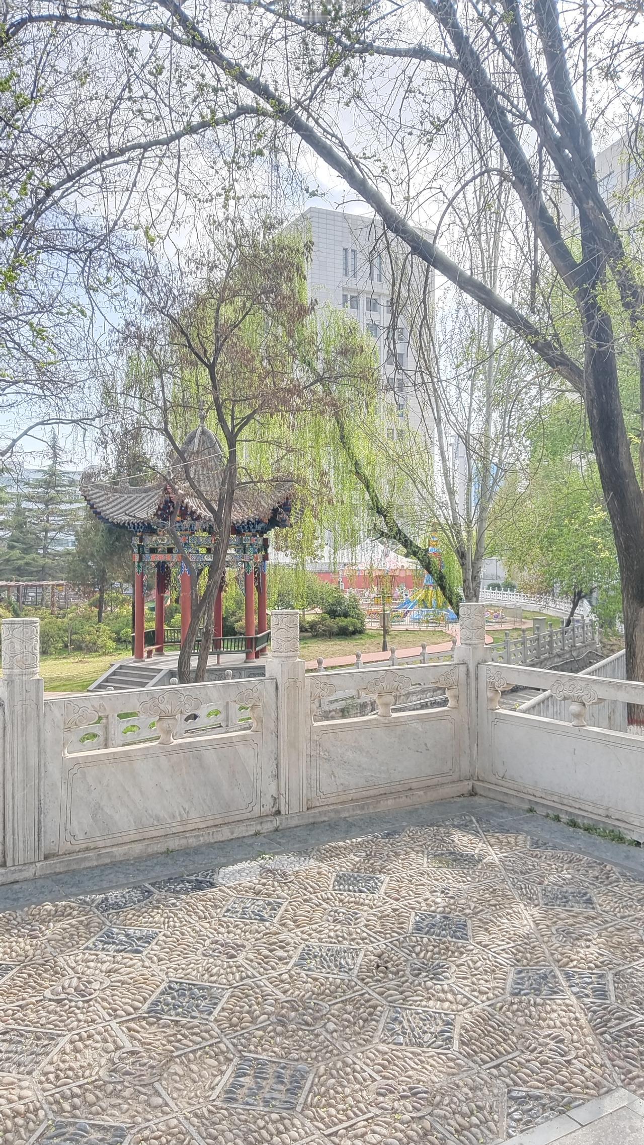 今年春天最想实现的心愿愿天堂都是坦途愿逝去的亲友一路走好……