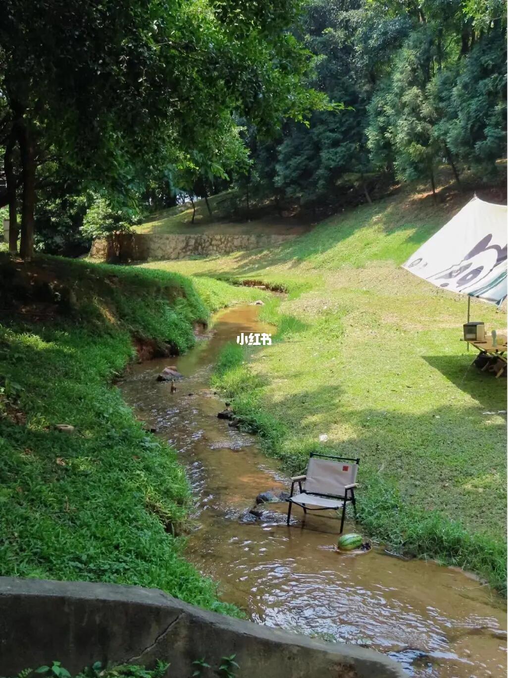 朋友圈问疯的公园🤣真的就在东莞