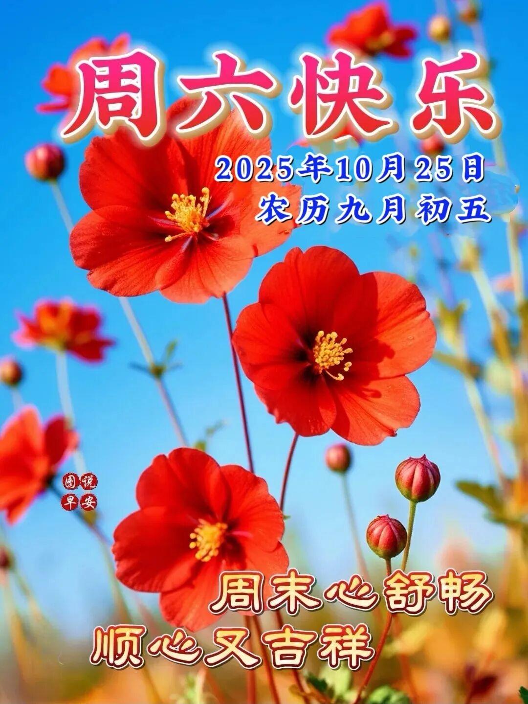 老祖宗的九大识人术，
一、睡觉卷成团，缺少安全感，  仰面朝天睡，心宽，不拘小节