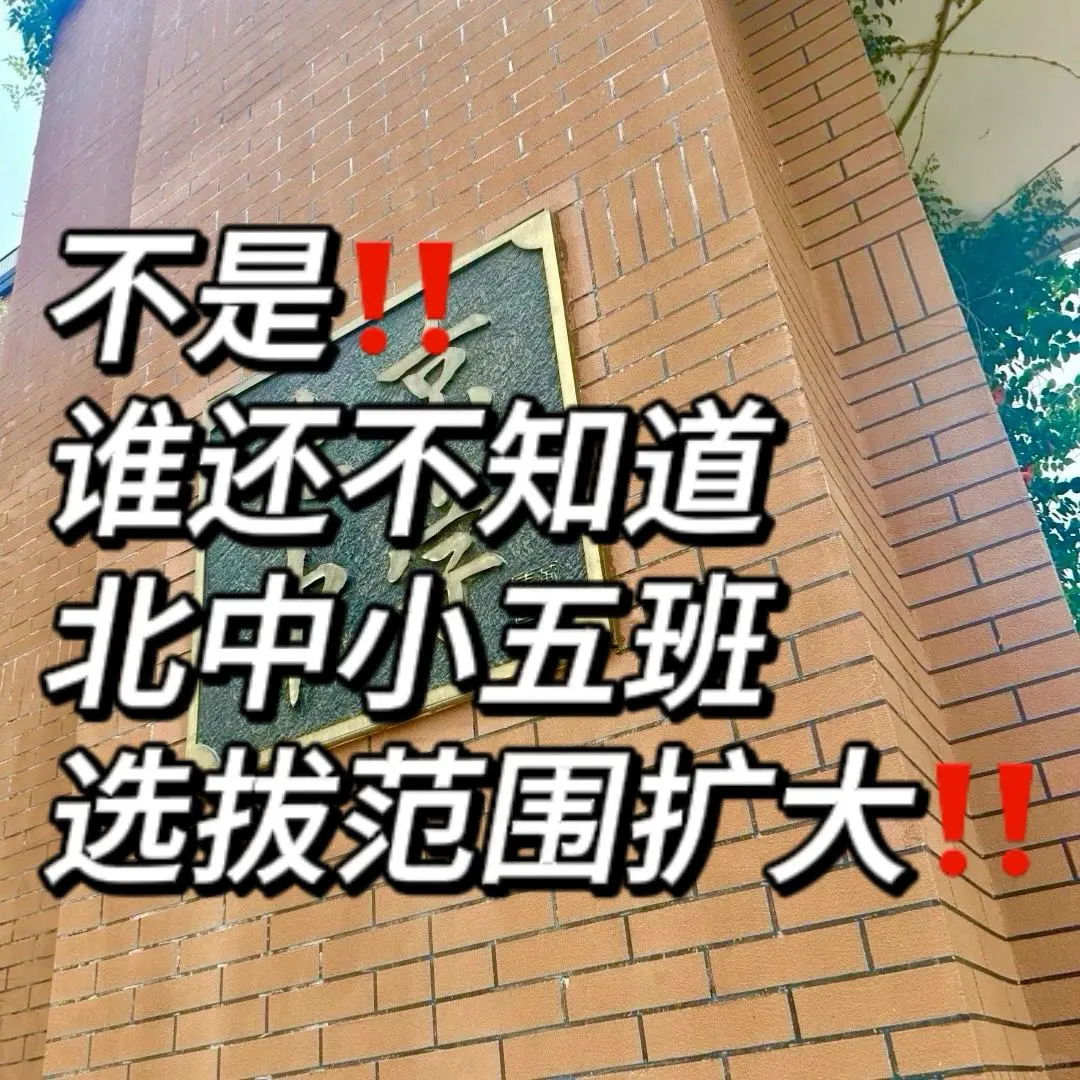 北中小五班选拔范围扩大‼️共33所小学‼️