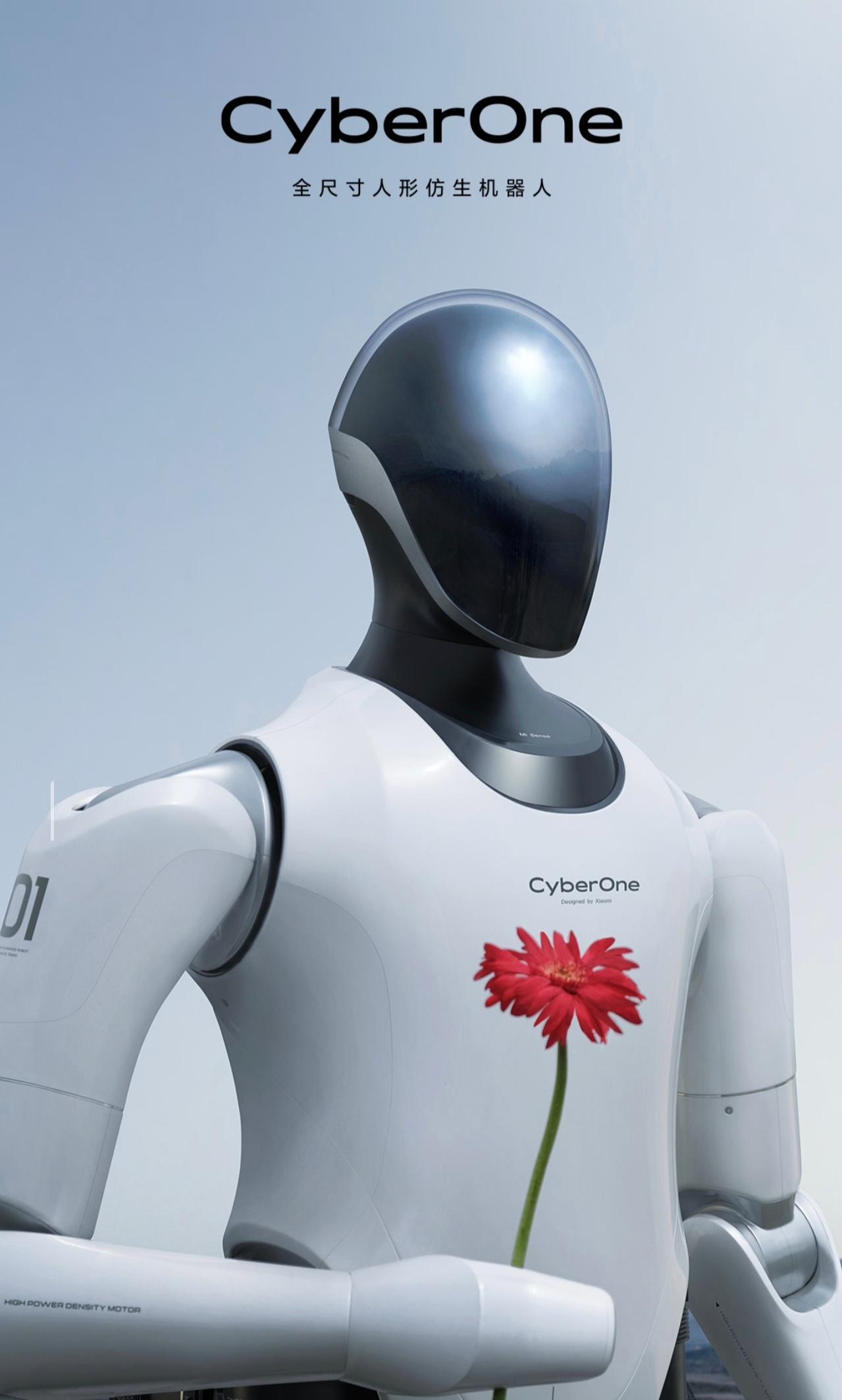 雷军下一个战略目标或是机器人大厂都做Ai，机器人不是顺手的事吗？而且小米已经有机