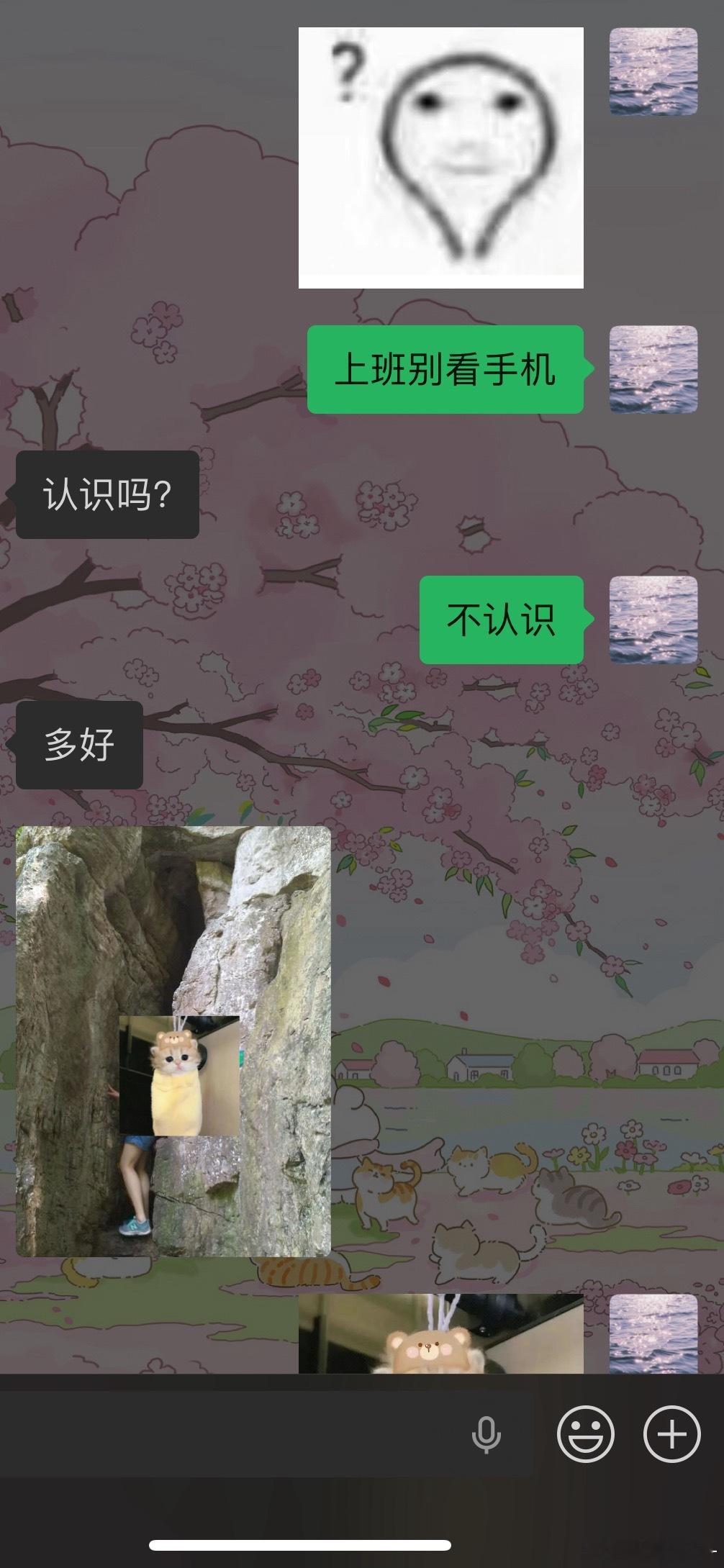 我妈翻之前的照片于是发现之前的腿咋长得