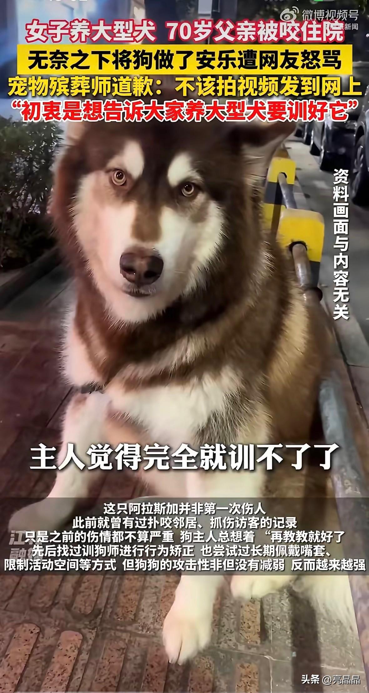 江苏女子养百斤大型犬，把70岁老父亲咬伤进手术室，无奈选择给狗狗做安乐死，却遭网