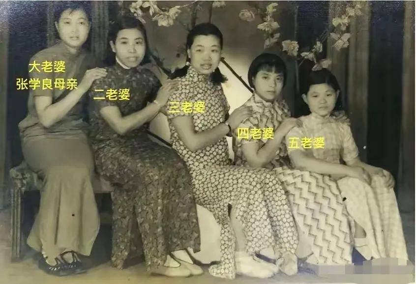 张作霖五个老婆这张照片我看了很久，说句实在话，就大老婆原配（张学良的母亲），还真