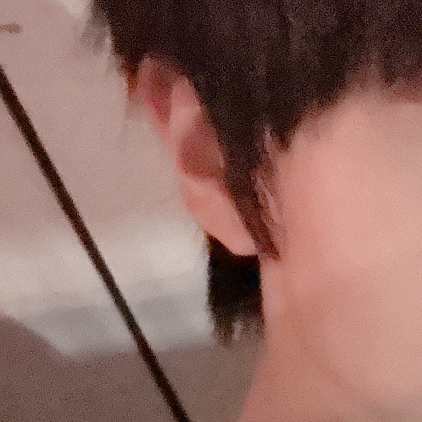 每日一善  种植 蘑菇种植：1.时间：蘑菇一般都是喜欢温暖的，不能过于干燥，一般