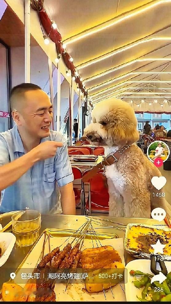 狗狗陪着主人吃烧烤，公共餐厅里真的合适吗？

大叔带着巨型泰迪来到烧烤店内就餐，