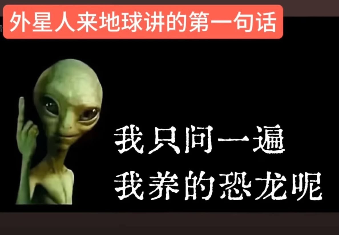 我宠物呢？meme