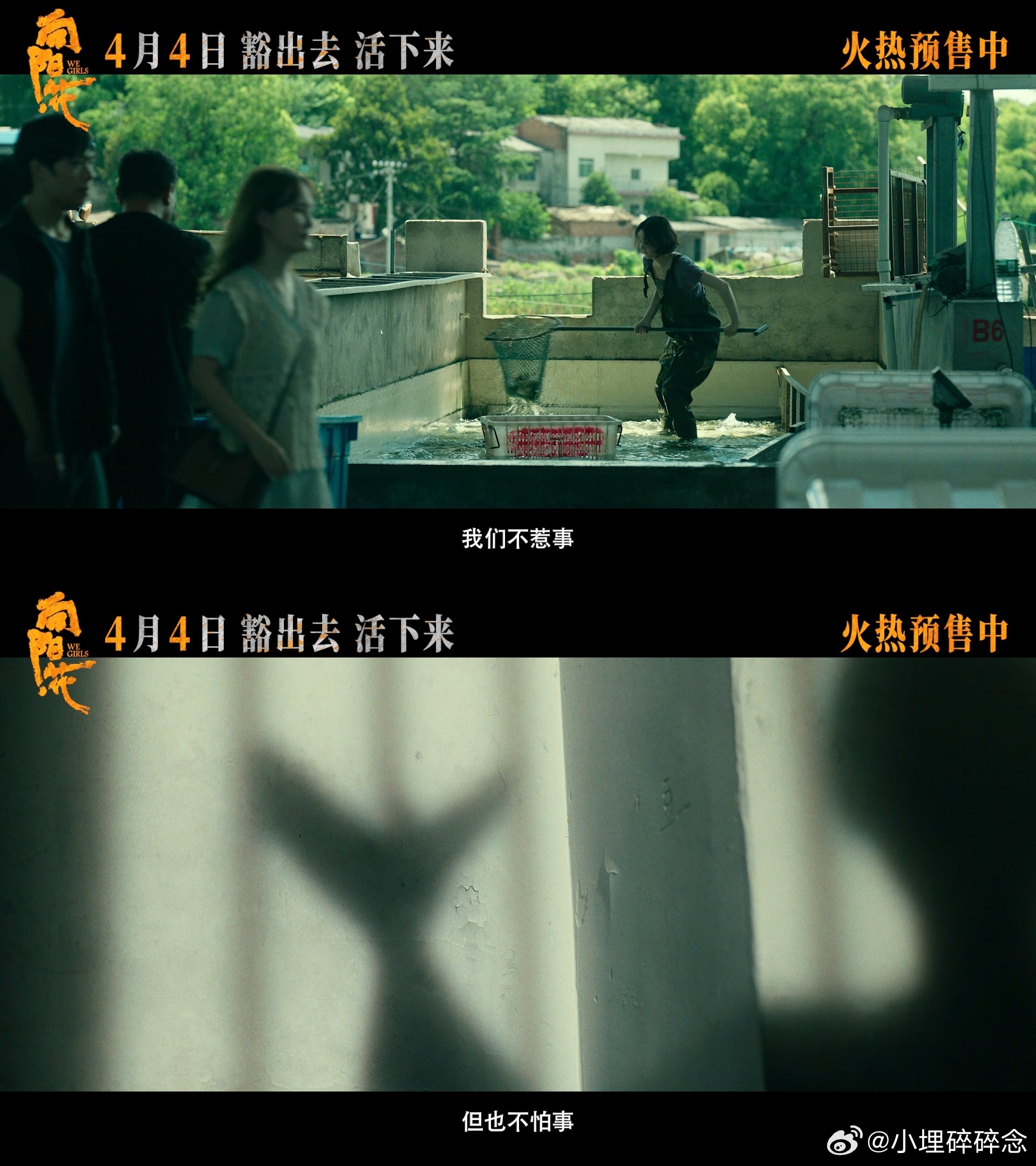 向阳花片尾曲野子高月香的故事和《野子》的适配度实在是太高了👏为了给女儿攒钱买高