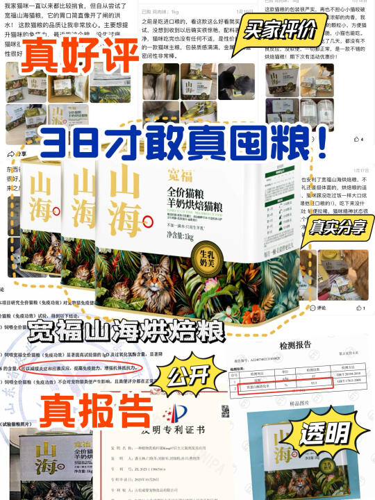 38大促猫粮回购！新手别再盲目选粮了！