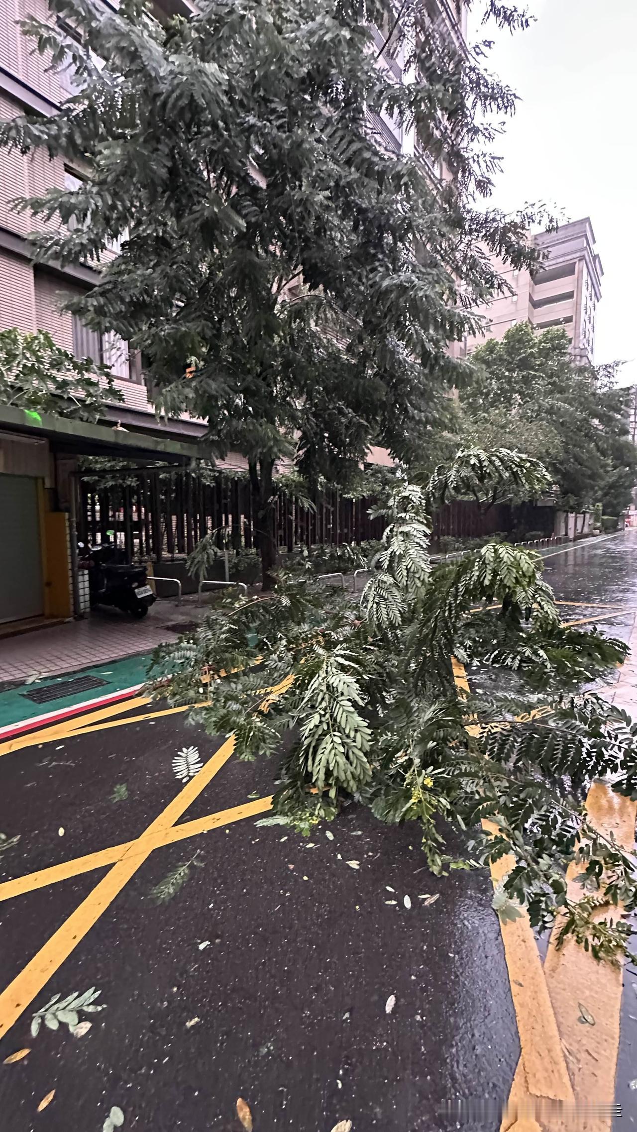 台风来袭，越晚风雨越剧烈，躲在家里避台都来不及了，居然还有人台风天上到海拔三千多