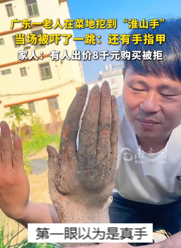 “吓了一跳！”广东，一老人在自家的菜地里挖地，不料，挖着挖着突然看到地里出现一只