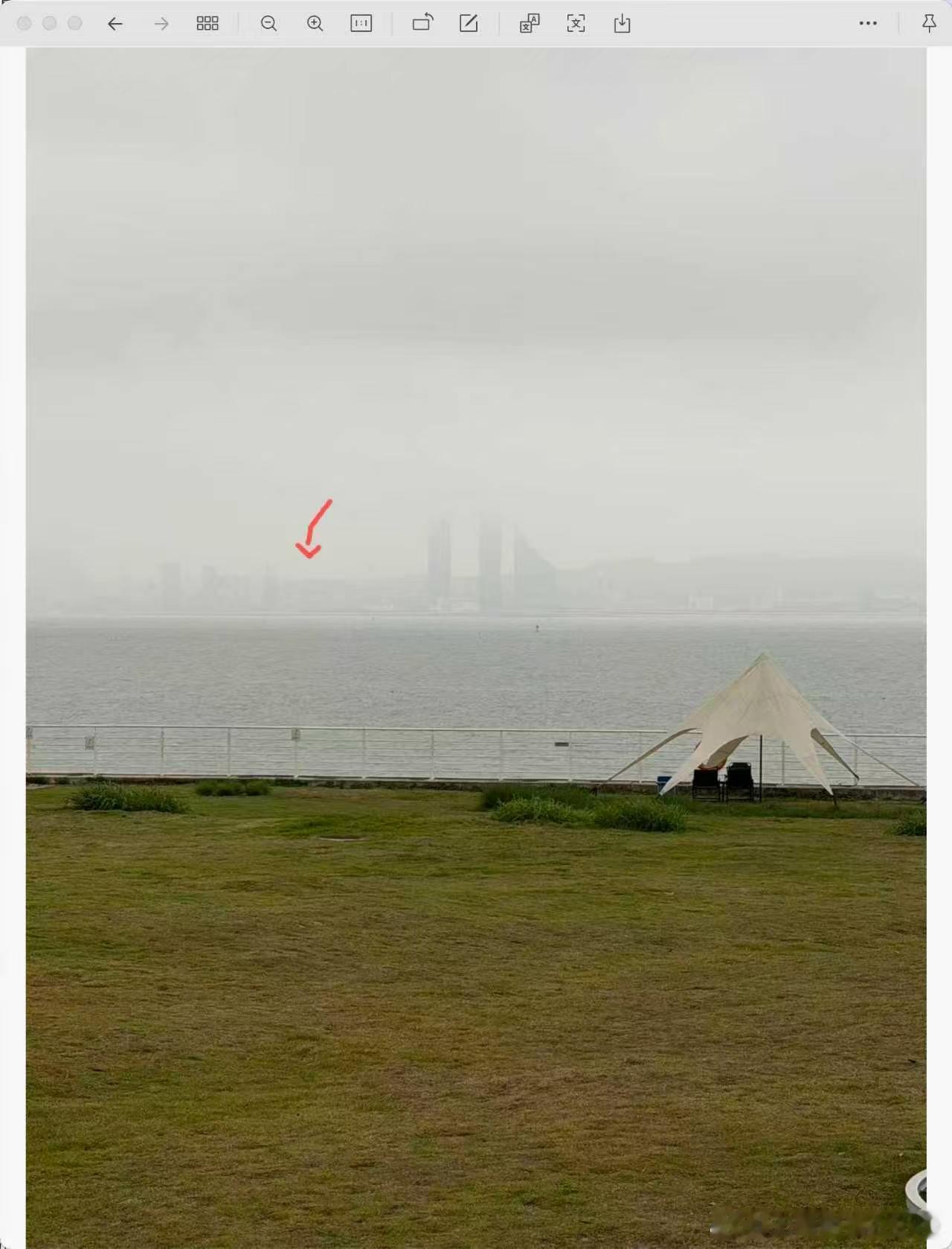 第一次来厦门 对我来说很离谱我厦门的同事说他在这里有个小房子懂行的人说说这是什么