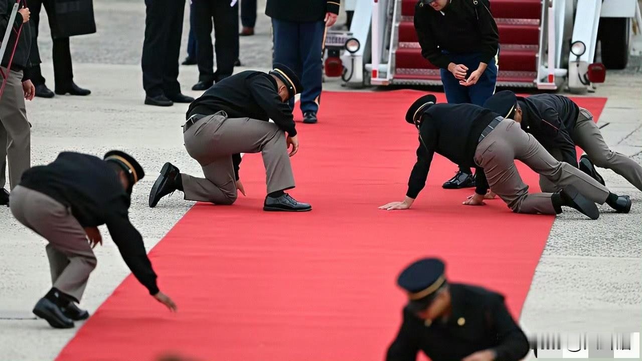 【日本网友破防称美日同盟关系就是一个笑话】
近日，一组美军铺设红地毯迎接贵客的照
