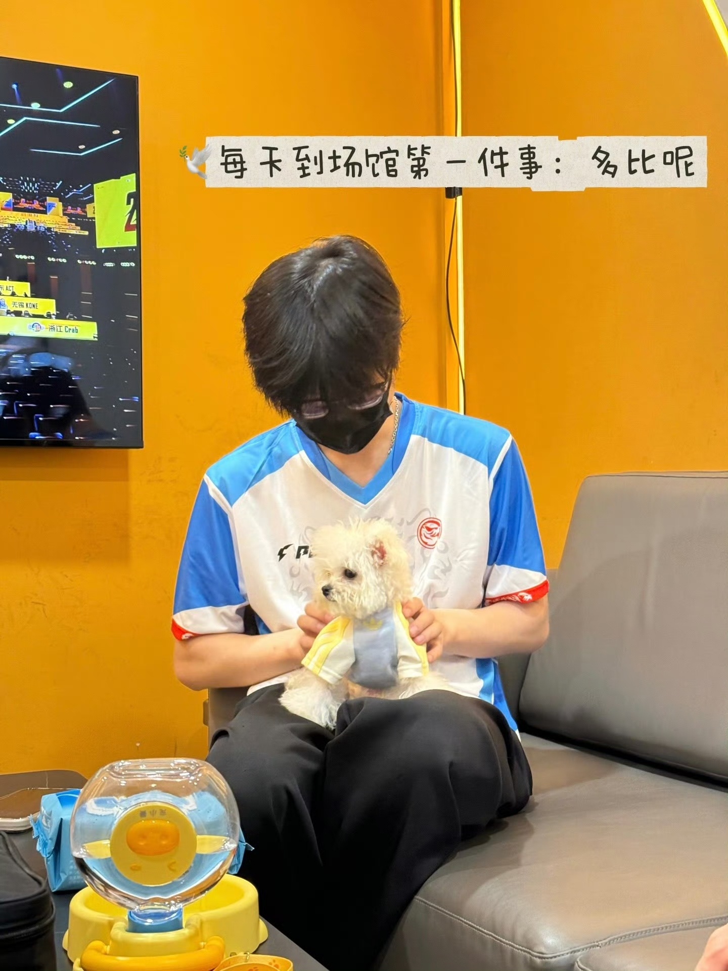PEL季后赛第三日你的暑期余额已不足一个月有人懂一下这个Oo3多可爱吗～