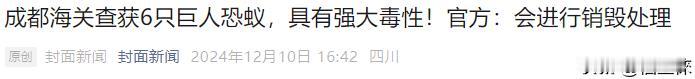 光是红火蚁就足以让我们感到棘手，现在又来了个巨人恐蚁，对这样不择手段走私入侵物种