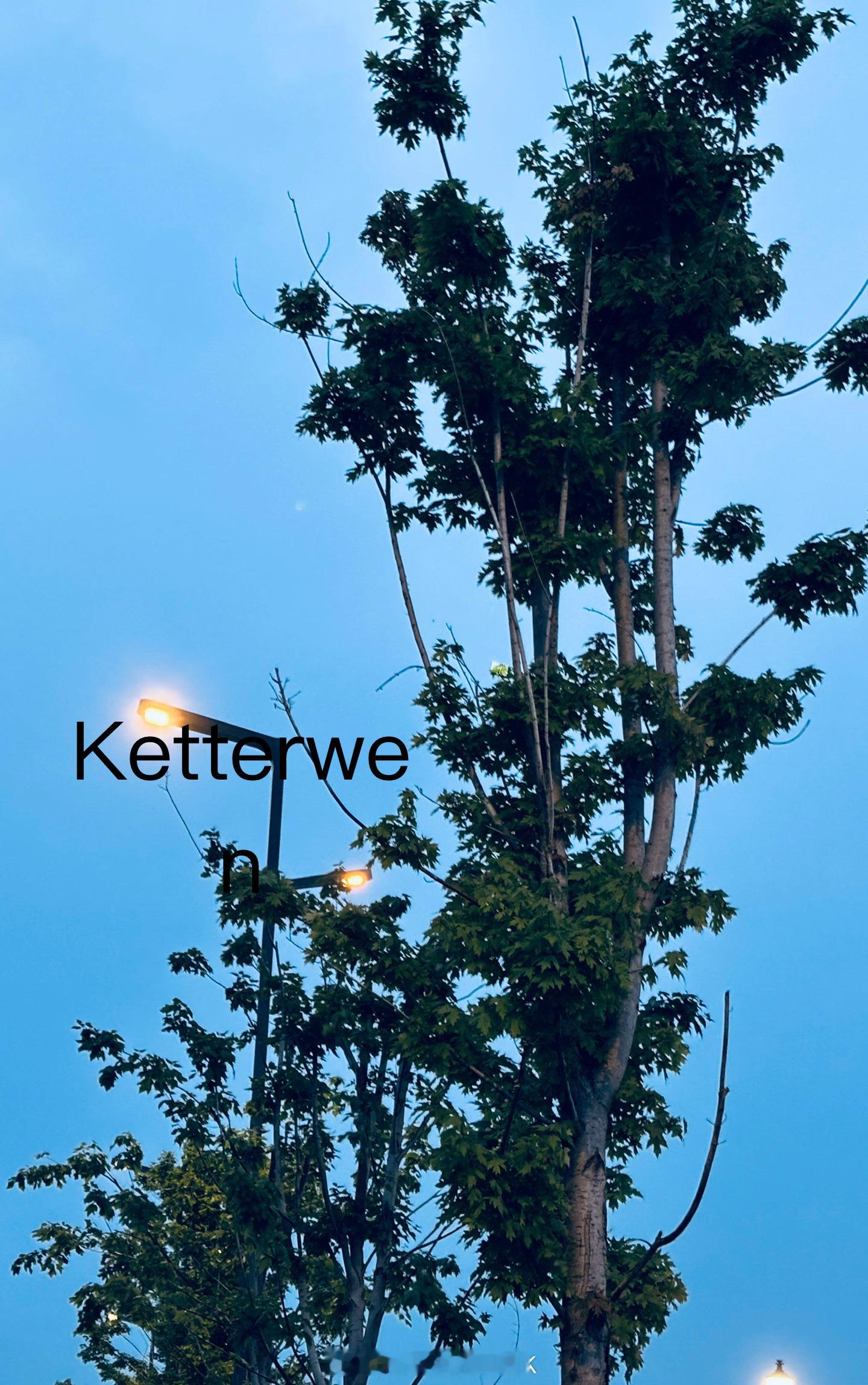 夏至🍃江东の煙雨朦朧