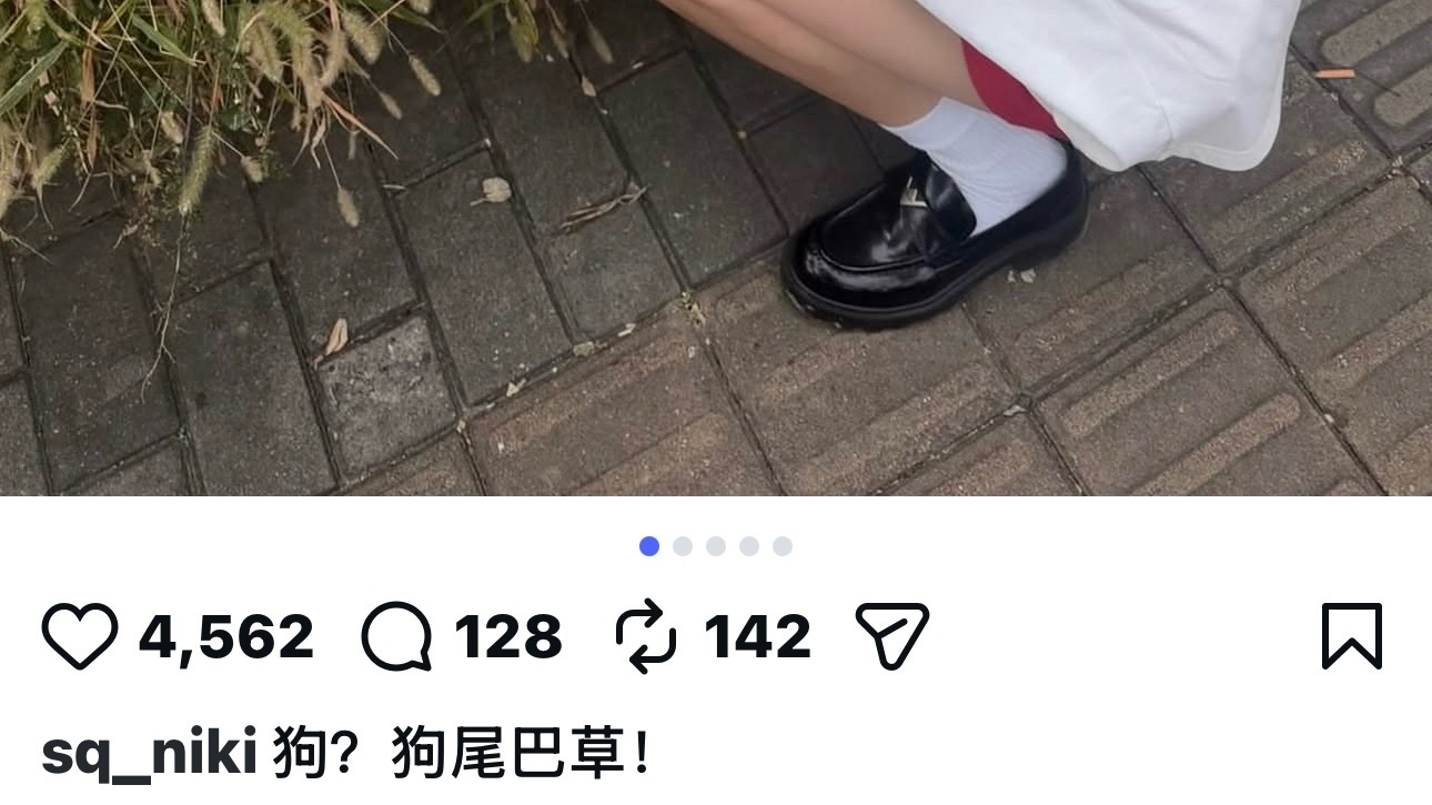 有狗还有狗尾巴草早春晴朗 ​​​