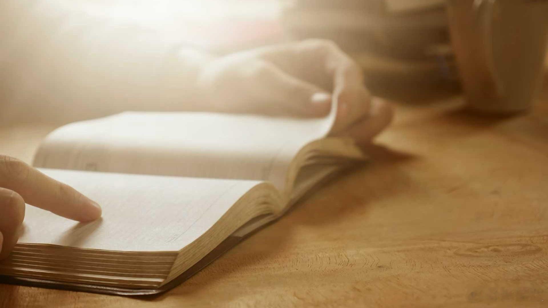 阅读让我学会慢下来触摸生活2025年度书单 2025年度书单 在快节奏的2025