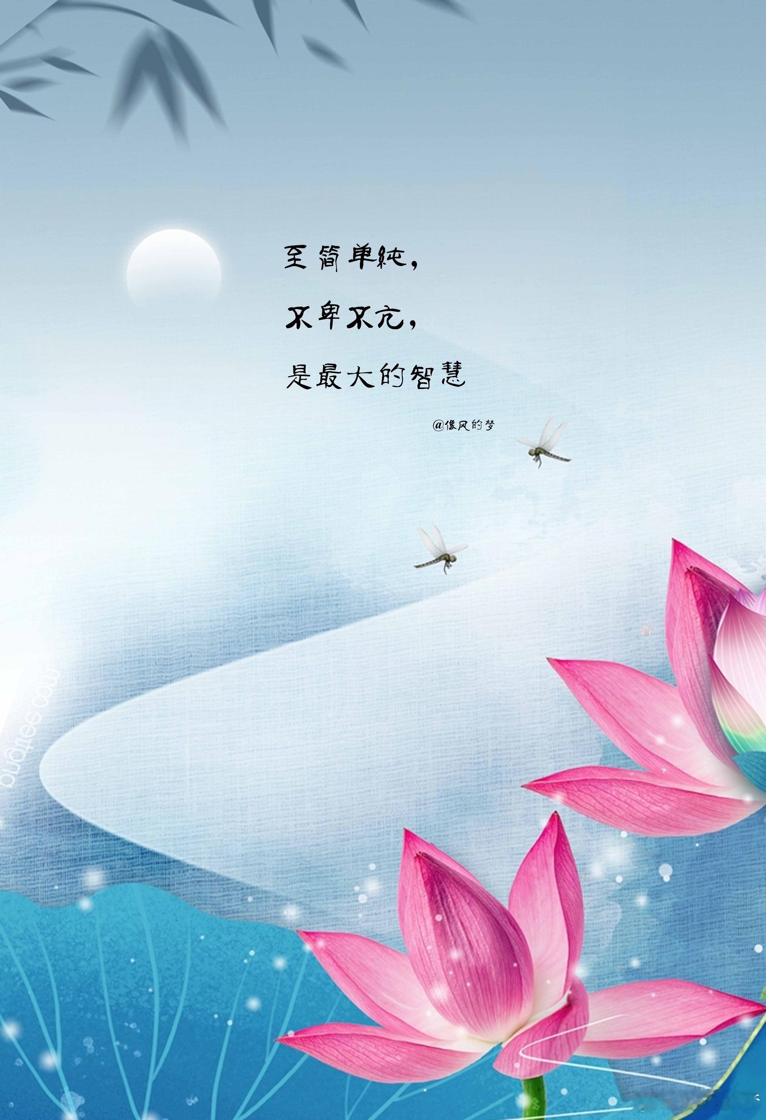 #人生感悟[超话]# 1.有限时间，有限空间，交织成了一张有限的网，人却在网中进