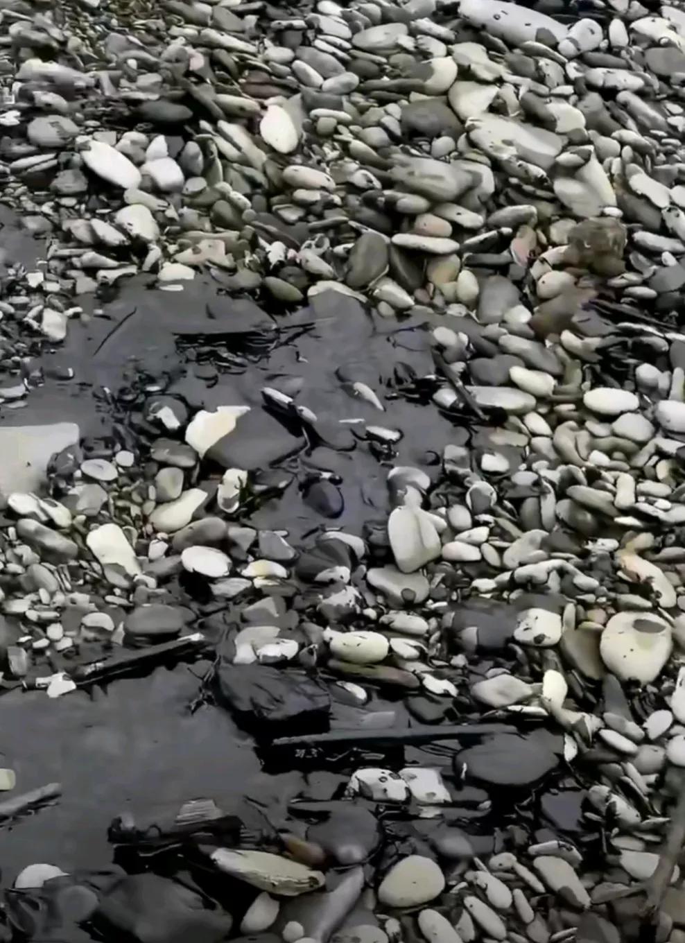 乌克兰袭击造成严重污染。

俄媒报道，当地时间26日，克拉斯诺达尔边疆区紧急部门