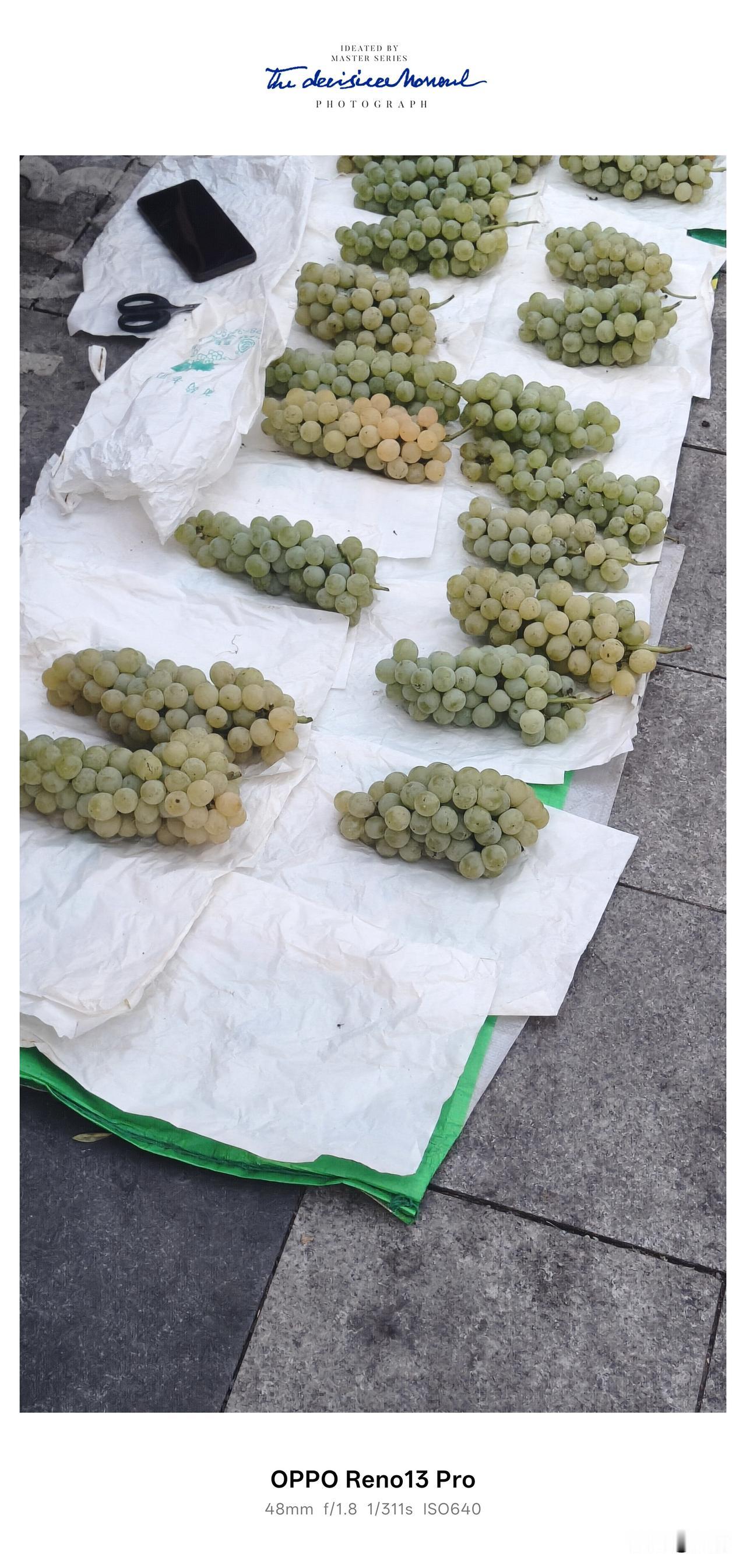 品相绝佳的水晶葡萄仅2元一斤，丰收低价背后满是果农的无奈。
 
坐标乐山峨眉符溪