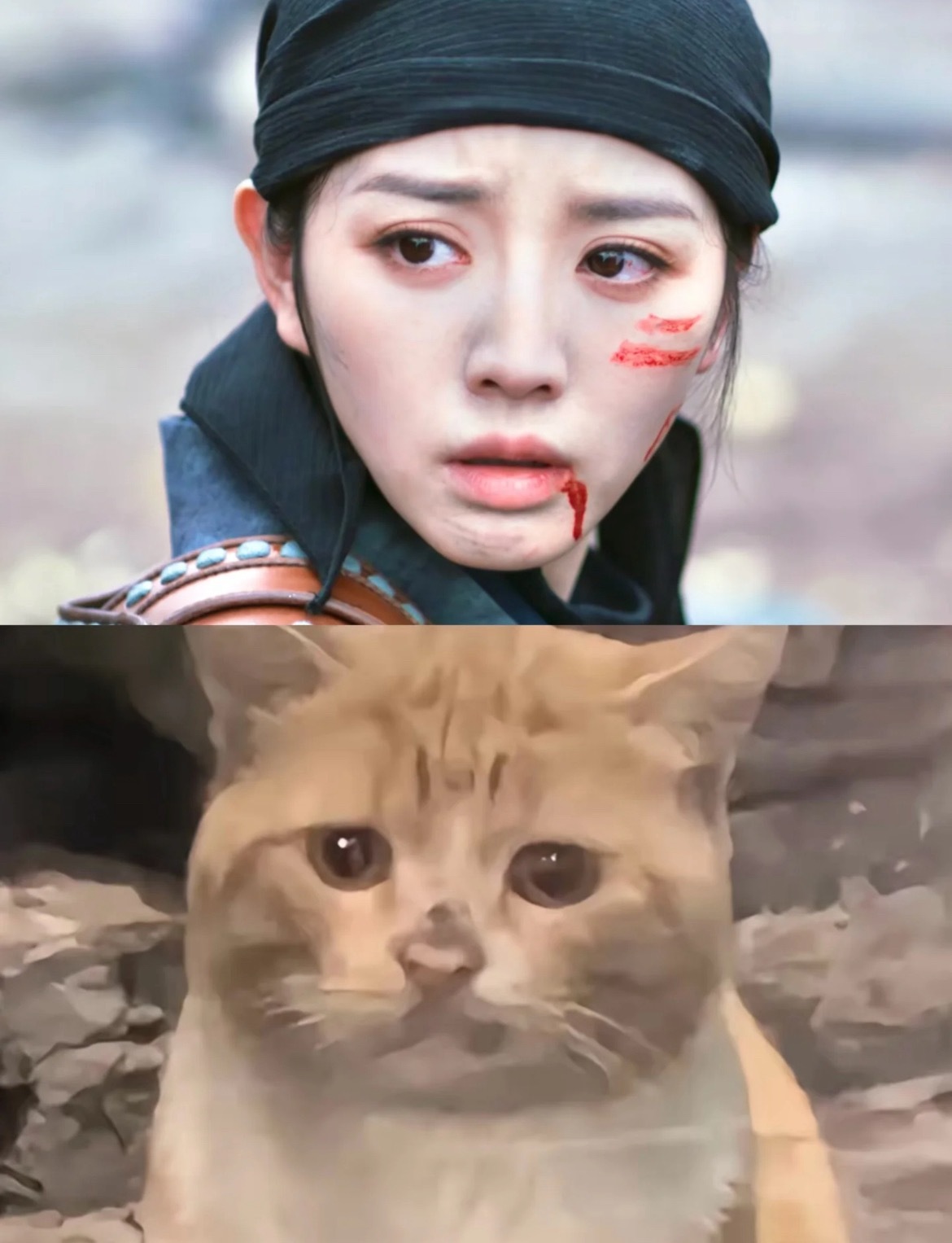 骗人好玩吗？！谁胆敢让这颗皮蛋落泪！！！今天晚上的猫猫真是萌爆全世界帅翻银河系，