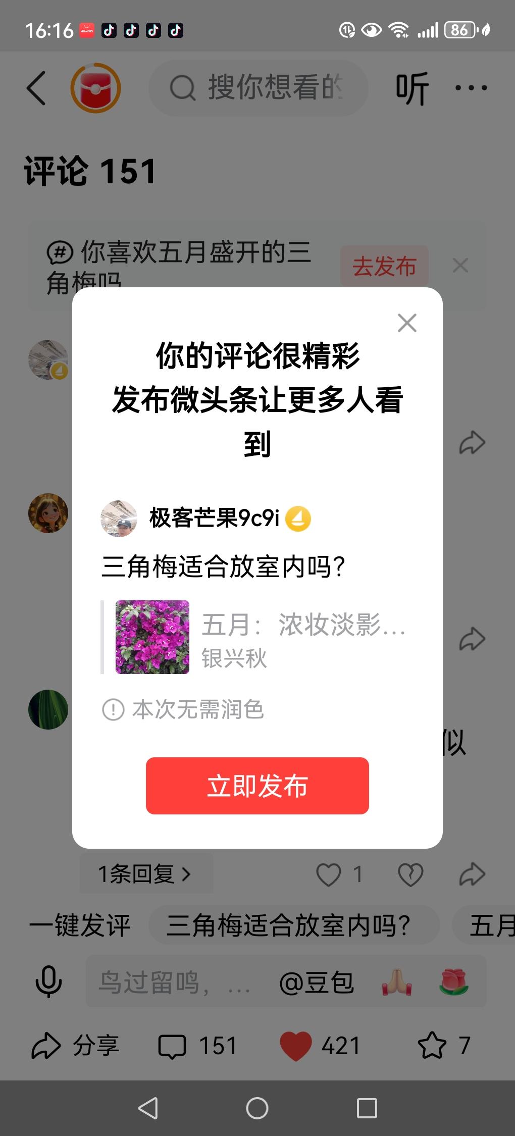 三角梅适合放室内吗？