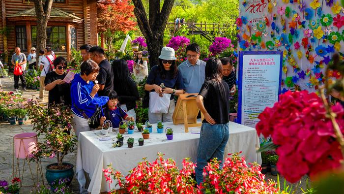 假期赏花好去处，济南这里美不胜收！“五一”长假即将来临，告别城市拥挤与日常忙碌，