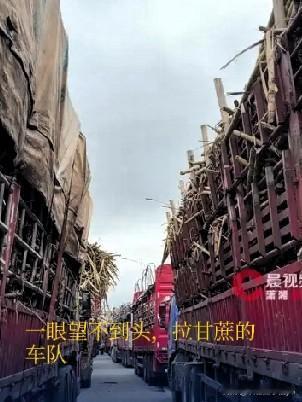 化州耀明糖厂真的太令人敬佩了！它冒着破产的风险，毅然为社会担起责任，这得需要多大