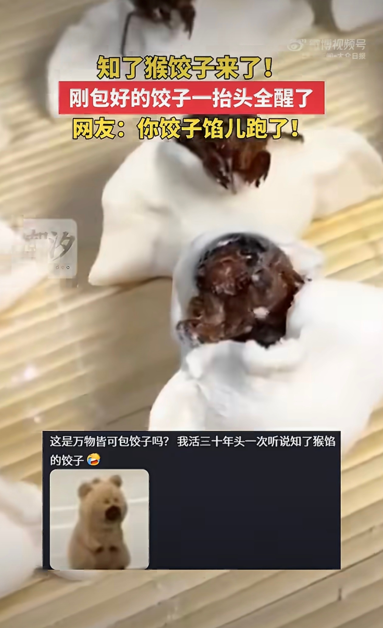包知了猴饺子一转眼馅跑了作为葱省老司机第一次看到“知了猴饺子”🥟话说不是先炸过