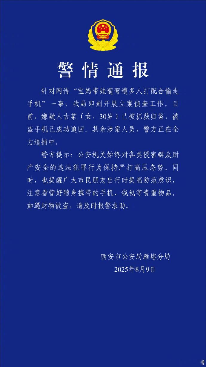 警方通报女子带娃遛弯遭多人打配合偷走手机【西安警方通报“宝妈带娃遛弯遭多人打配合