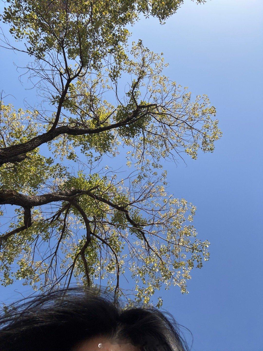 今天天气真的一级棒