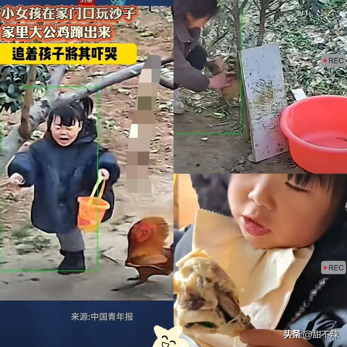 江苏宿迁，小女孩在外婆家玩，被公鸡啄。当场吓哭，外婆二话不说，直接把“肇事鸡”连