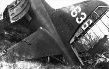 1946年，叶挺将军所乘飞机坠机，失事原因一直是谜，直到2006年，一位普通农村