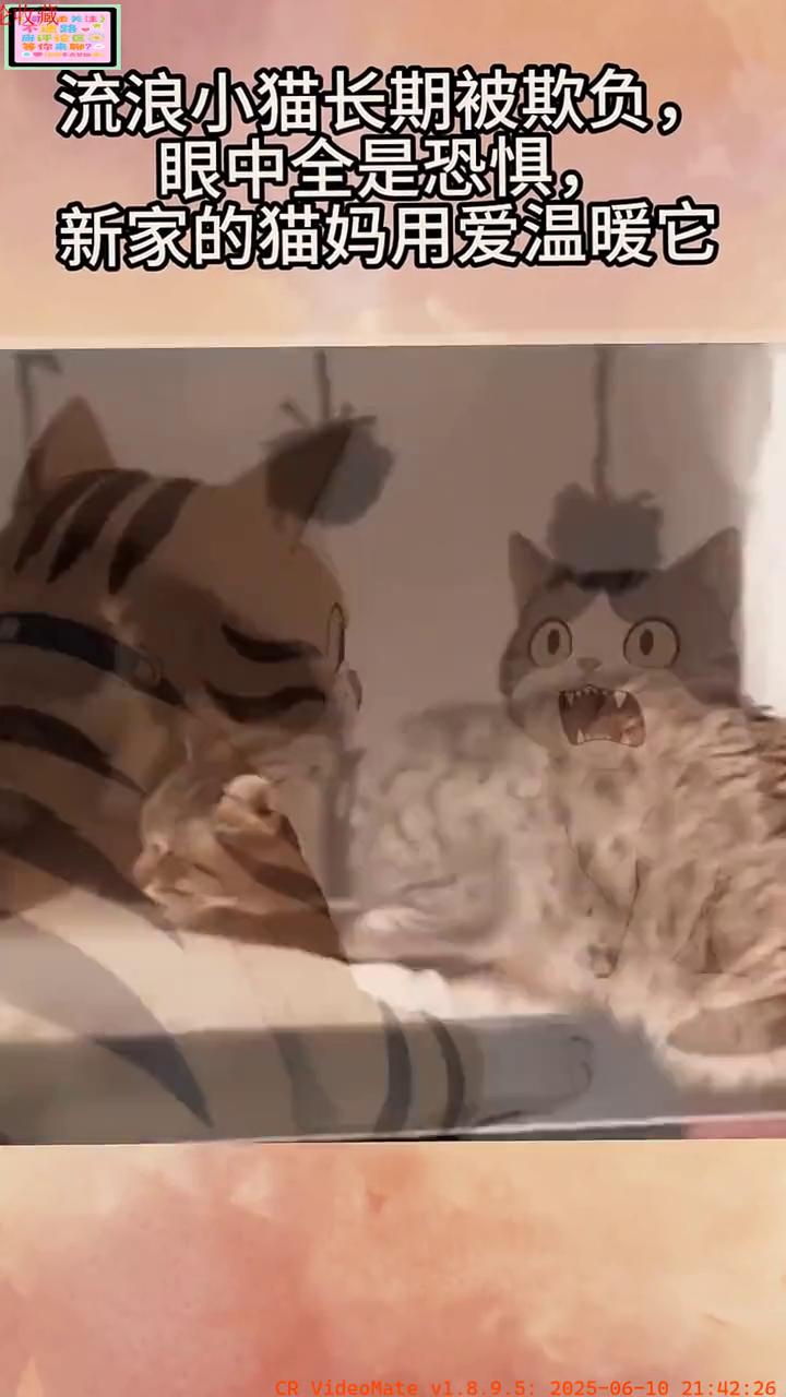 流浪小猫长期被欺负，眼中全是恐惧，新家的猫妈用爱温暖它。
求求你，别过来。