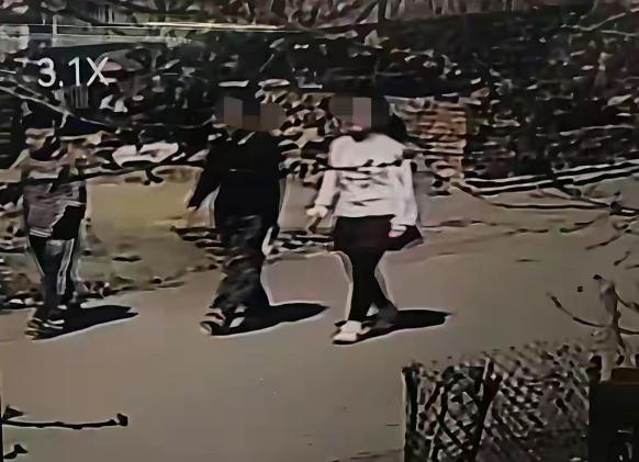 黑龙江绥化望奎县，两名分别为 11 岁和 12 岁的女孩在 5 月 1 日下午从