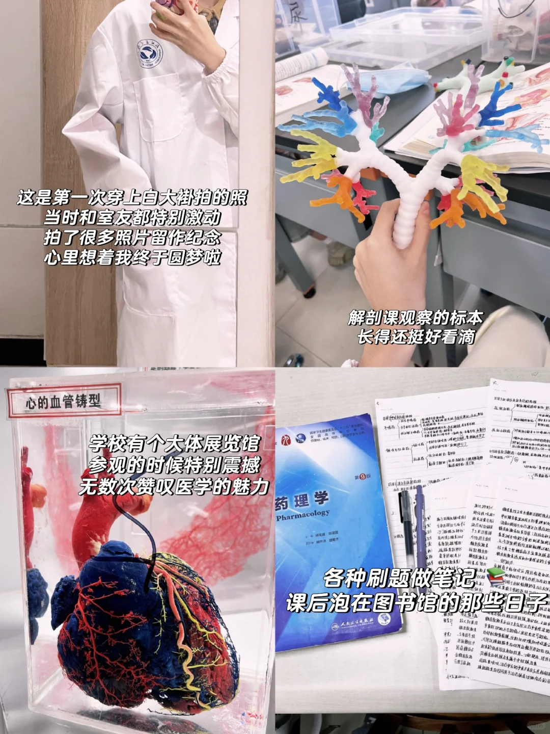 尽管劝人学医 天打雷劈 但我还是想说....
