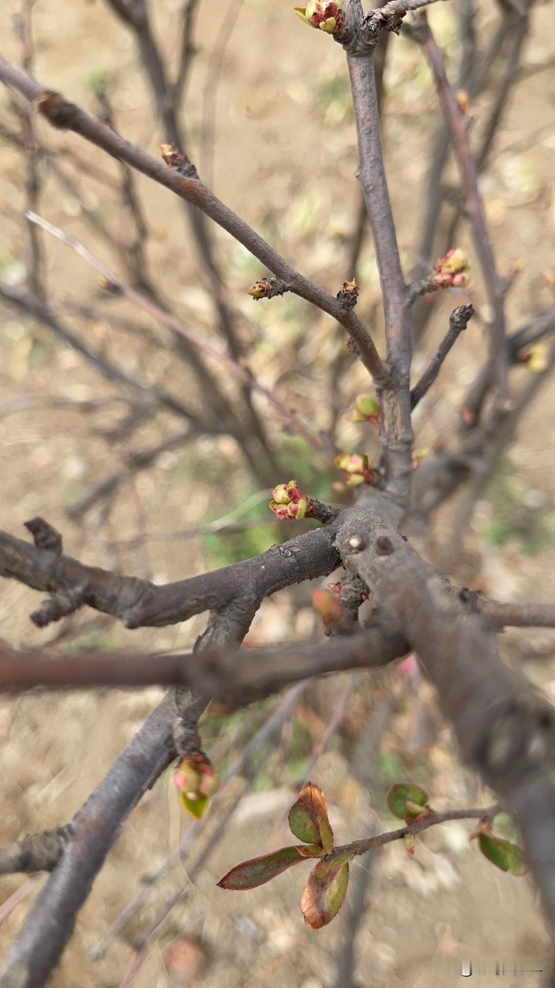伊朗的事还没有落幕，是不是好戏才开始啊！
下一步就是海峡的故事了！