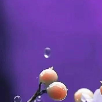 正能量人生没有坦途，生活没有完美，不必事事追求尽善尽美，也不必时时担惊受怕，要学