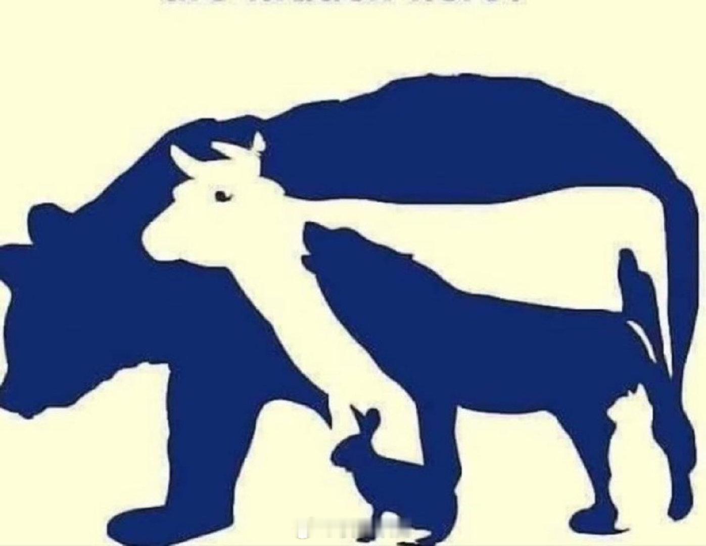 比比眼力，图中有多少个动物？ ​​​