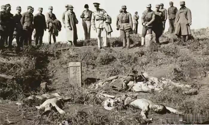 1943年5月石牌保卫战打响，这一仗打得血肉横飞，打完之后战场上遍地都是日军的尸