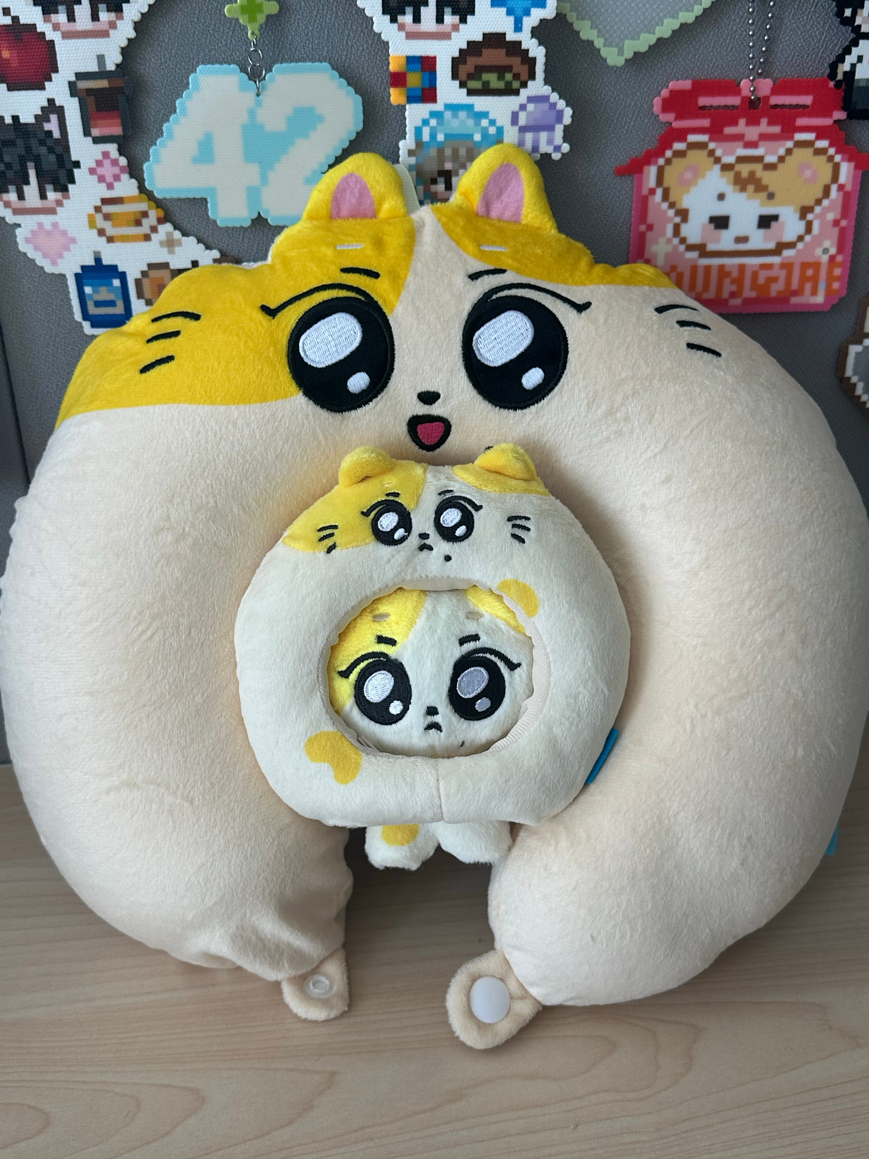 wonchu就是世界上最萌的宝宝😋 